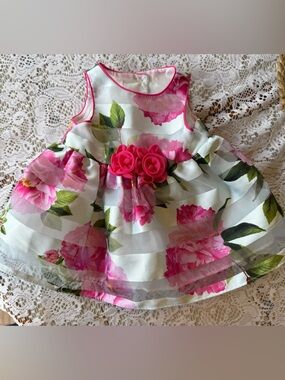 Mia & Mimi Newborn Floral Easter Party Dress Pink Organza NB